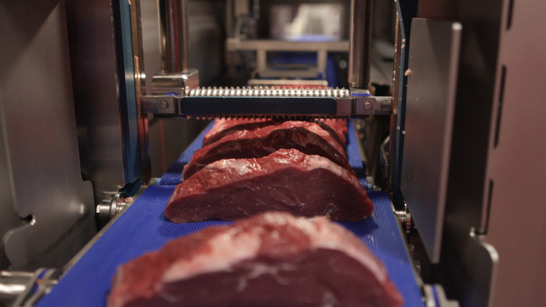 Машина для нарезки на ломтики и порции TREIF HAWK