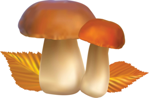 Аромат лесных грибов